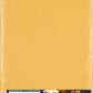 Bosch Professional Expert C470 Schleifpapier zum Handschleifen, 230 x 280 mm, G 100 (2608900960)