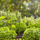 Gardena Micro-Drip-System Verlängerungsrohr für Sprühdüsen - Inhalt: 5 Stück (13326-20)