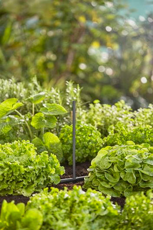 Gardena Micro-Drip-System Verlängerungsrohr für Sprühdüsen - Inhalt: 5 Stück (13326-20)