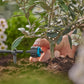 Gardena Micro-Drip-System Regulierbarer Endtropfer 1-8 l/h, selbstregulierend - Inhalt: 5 Stück (13304-20)
