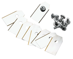 GA310-0181_HighResPng