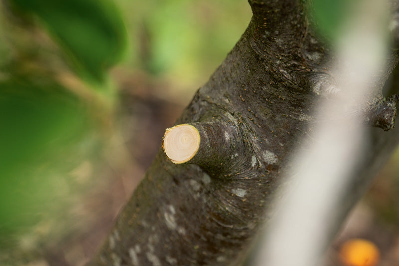 Anwendungsbild