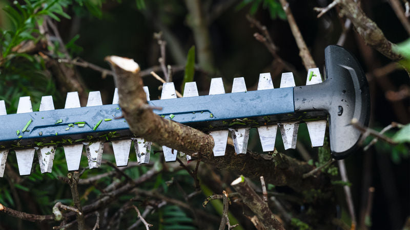 Anwendungsbild