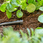 Gardena Micro-Drip-System Verschlussstopfen 4,6 mm (3/16') - Inhalt: 10 Stück (13215-20) (1323-20)