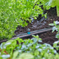 Gardena Micro-Drip-System Streifendüse - Inhalt: 5 Stück (13319-20)