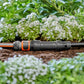 Gardena Micro-Drip-System Basisgerät 1000 (13333-20)