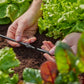 Gardena Micro-Drip-System Verbinder 4,6 mm (3/16') - Inhalt: 10 Stück (13213-20)
