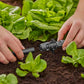 Gardena Micro-Drip-System T-Stück für Sprühdüsen 13 mm (1/2') - Inhalt: 5 Stück (13206-20) (8331-20)