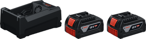Bosch Professional Starter Set (2xGBA18V 5.0Ah; GAL12V/18) (1600A03CH1)